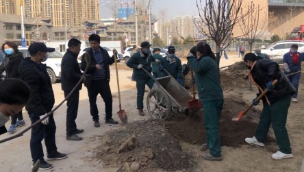 植此青翠、宿愿同行- 集团组织员工植树新生行动